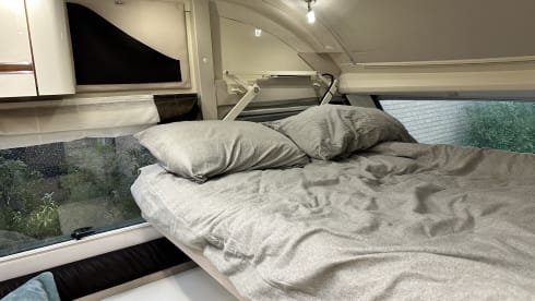 4p McLouis integrato dal 2015