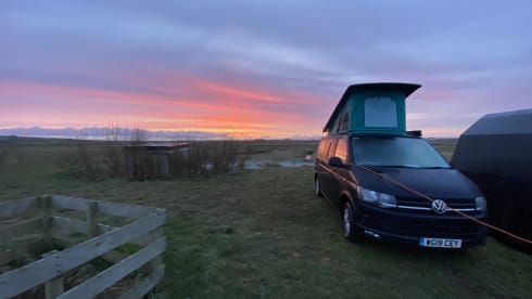 Cilla – VW T6 2019 4 berth