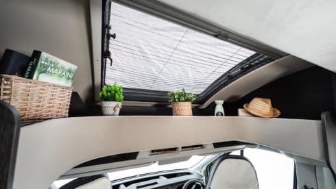 Belle – Motorhome – Sleeps 4 – Travels 4