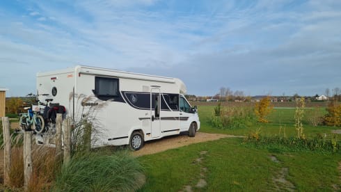 New Benimar Cocoon 463