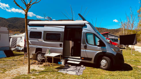 ARNOLD. – Bus 4p Pössl à partir de 2022