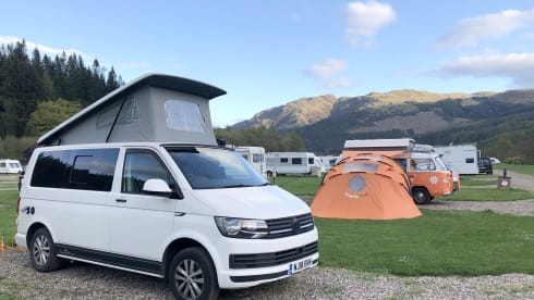 Petunia – Petunia the Campervan