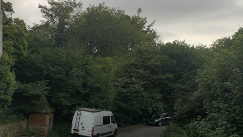 Dallas – Meet Dallas our much loved camper! 