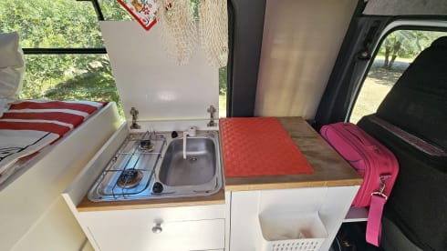 Boxer – True Boxer