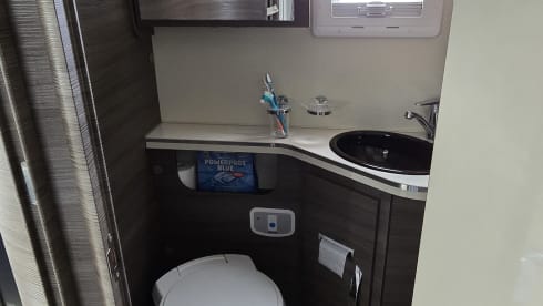 4p McLouis carat integraal uit 2019