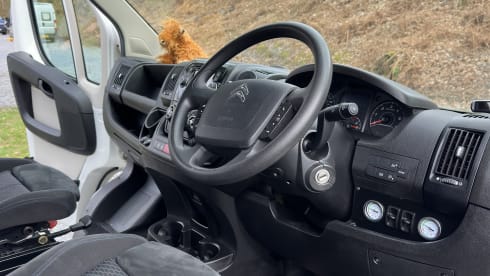 Henry – Citroën-Bus mit 2 Schlafplätzen aus dem Jahr 2017