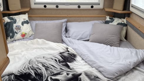The Clitheroe Camper – 2 berth Fiat campervan 