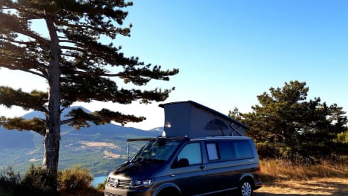 California Coast rental year 2019