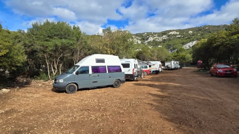 Dani – Volkswagen t4 Reimo