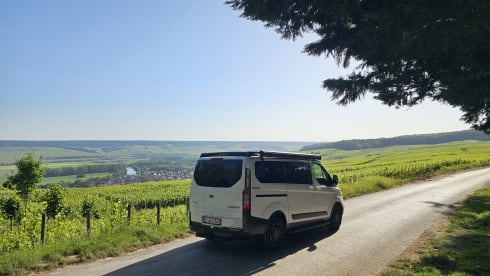 ROSA – Ford-Campingbus für 4 Personen, Baujahr 2023