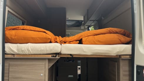 Bonny – 4p Carado campervan from 2024