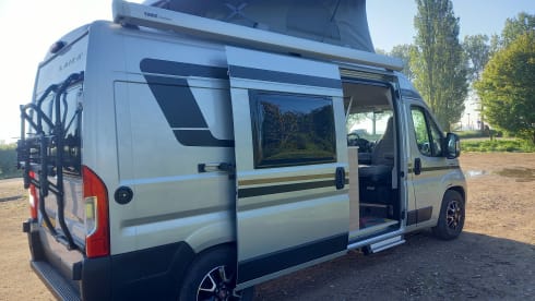 4p camper bus automatic from 2021