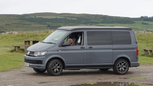 Paul Van Dyk  – 4-persoons Volkswagen campervan uit 2018