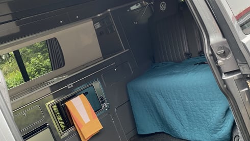 Harley – When Dog Friendly Means Dog Friendly - Luxury VW T6.1 Campervan