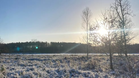 Het Busje – 2p Fiat campervan uit 2012