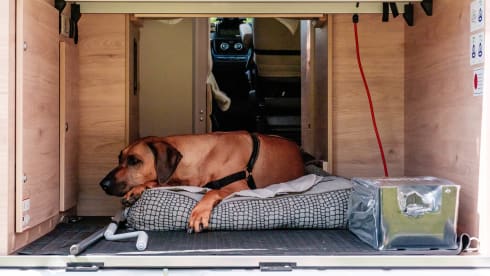 YOURMOMENTS_Vanlife  – Escape to nature with our luxurious off-grid camper bus 