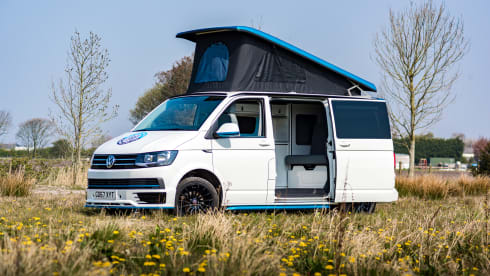 Bob – White & Blue Ormskirk