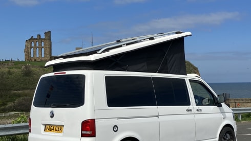 Salty sea dog  – 4 berth Volkswagen bus from 2012