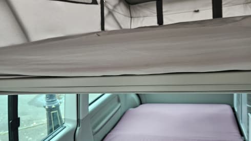 Billy – 4 berth Volkswagen California Ocean 2017