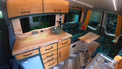 Boohoo Aloha – 2 berth Mercedes-Benz campervan from 2015