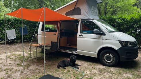 Fitis – 4p Volkswagen bus uit 2018