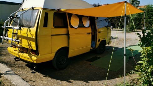 Sunny – 2p Volkswagen campervan from 1981