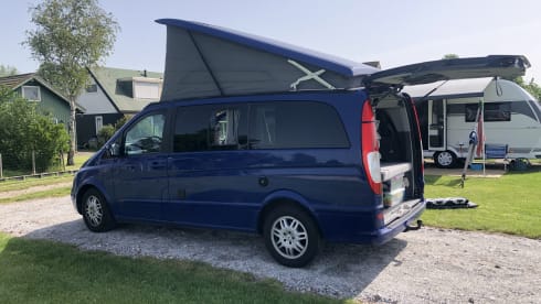 Mijn Bussie – 4-sitziger Mercedes-Benz Bus ab 2026