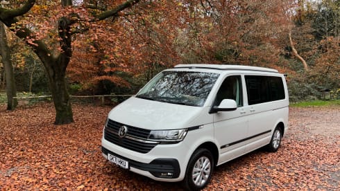 Bilbo – (VW001) 2021 VW T6 2 berth Bilbo's Camper van with heating