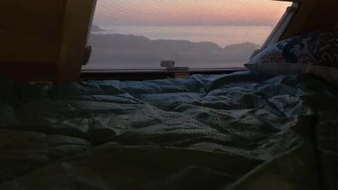 Laika Ecovip 3L in perfette condizioni.