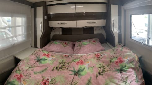 MCLOUIS CARAT 479 model 2021