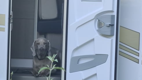 New house on wheels from 2022