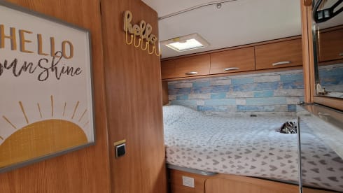 Kaz Camper – Fabulous 6 berth 4 seatbelts with WIFI Chausson alcove (2010)