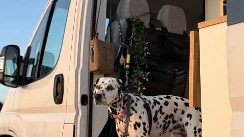 Lykke – Peugeot-bus met 3 slaapplaatsen vanaf 2021