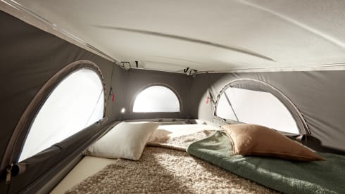 Campeo C540 – Campeo C540