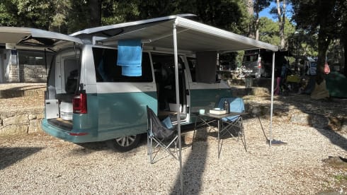 4p Volkswagen campervan uit 2019