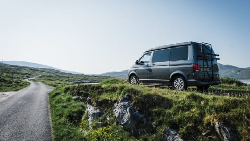 Harley – When Dog Friendly Means Dog Friendly - Luxury VW T6.1 Campervan