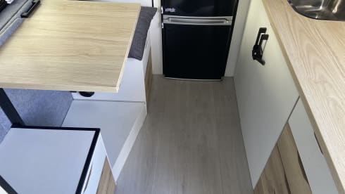 White Shark  – Wild Camper