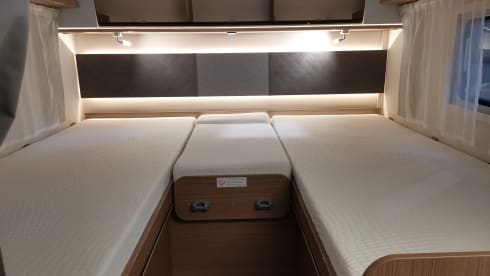 Sven – Carado i447