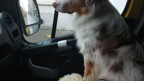 Citroentje – Citroentje, campervan for climbers and outdoor fans