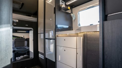 Boas – Boas wants to go on an adventure with you (max 4 adults)!