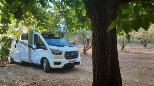ZEFIRO  – Rollerteam 267 - Luxury mobile home