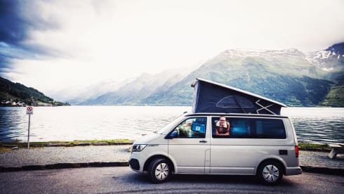CALI Brown Grey – Volkswagen California COAST Brown/AscotGrey (2021)