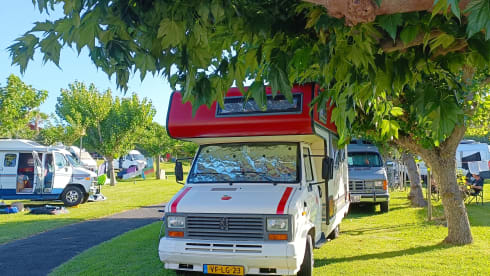 Karel Appel – Eye-catcher alcove camper from 1991