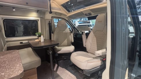 4 berth Bürstner bus from 2026