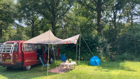 Volkswagen California Westfalia T4 Van