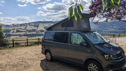 EsteVan – VW transporter T6 4 berth Campervan - EsteVan