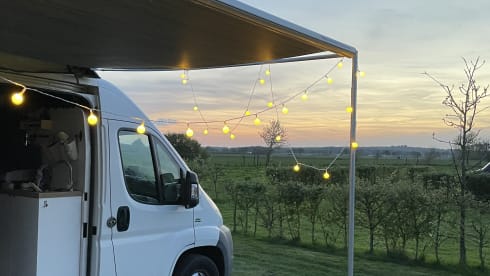 2p Fiat bus from 2011