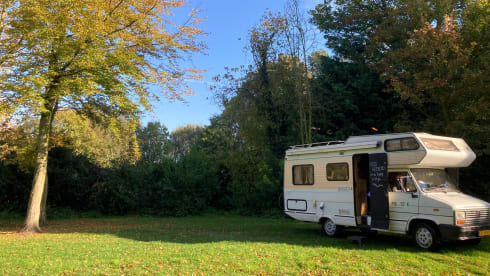 Vintage BETSY – 5p Peugeot alcove from 1991