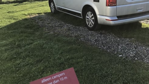 Bulli – Original VW California Ocean T6 auto. Euro6