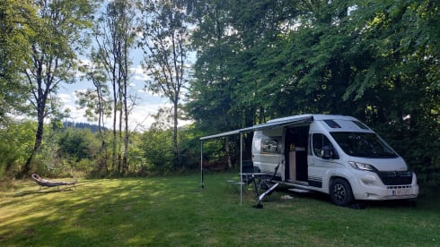 4p Bürstner bus (2023) with lifting roof